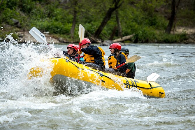 French Broad Gorge Whitewater Rafting Trip - Why Section 9 makes a strong Asheville day trip