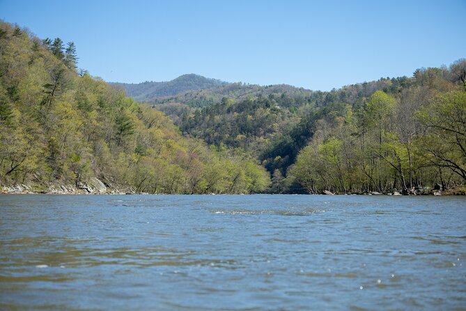French Broad Gorge Whitewater Rafting Trip - How much work is the rafting?