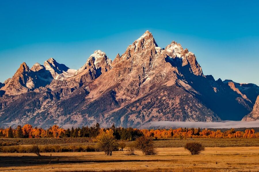 From Jackson: Half-Day Grand Teton National Park Tour - Quick take: what makes this tour useful