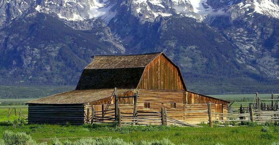 From Jackson: Half-Day Grand Teton National Park Tour - Why a four-hour overview works in Grand Teton