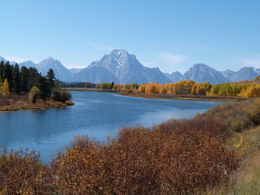 From Jackson: Half-Day Grand Teton National Park Tour - What the guides add to the experience