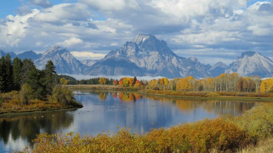 From Jackson: Yellowstone Day Tour Including Entrance Fee - How good are the guides?