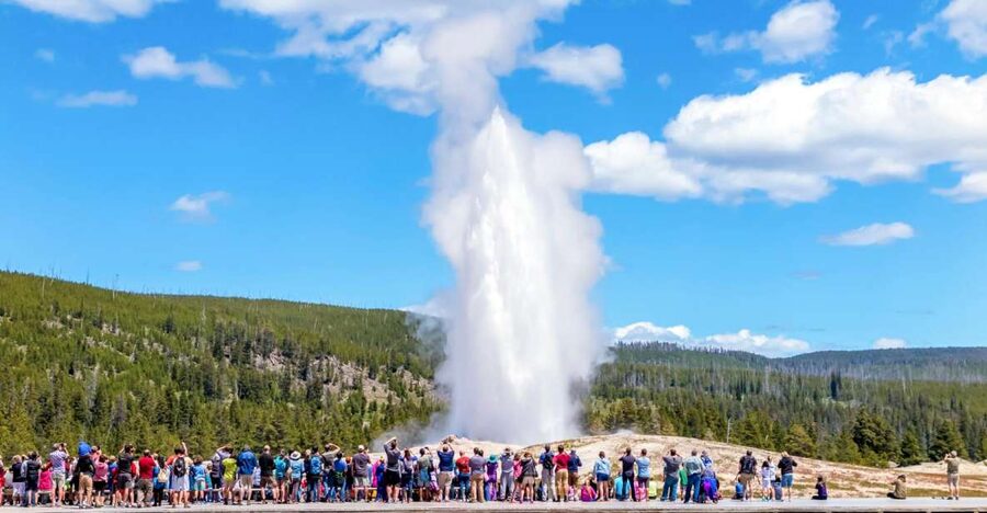 From Jackson: Yellowstone Day Tour Including Entrance Fee - Old Faithful: the day’s big performance