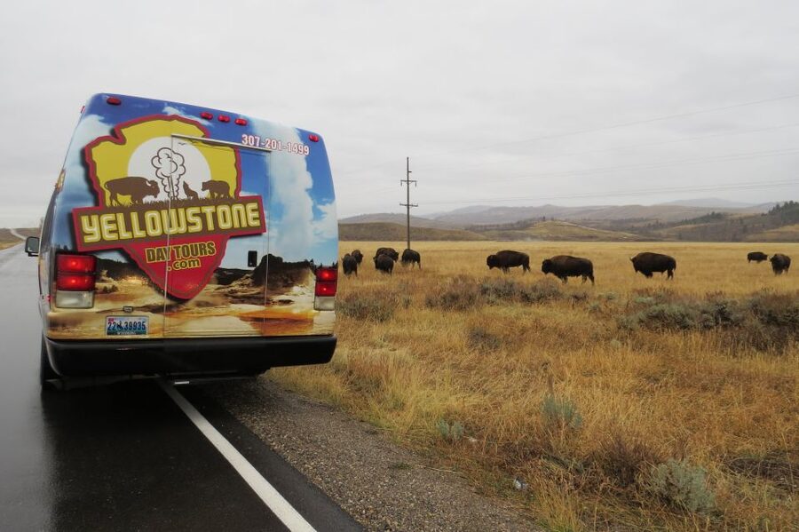From Jackson: Yellowstone Day Tour Including Entrance Fee - Yellowstone Lake and the long middle of the day