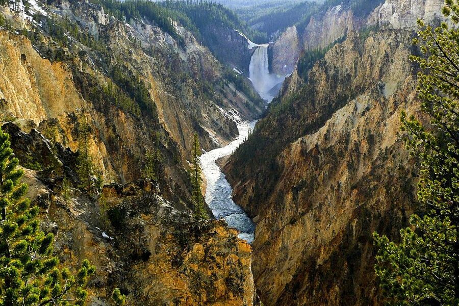 From Jackson: Yellowstone Day Tour Including Entrance Fee - The Upper and Lower Falls of the Grand Canyon