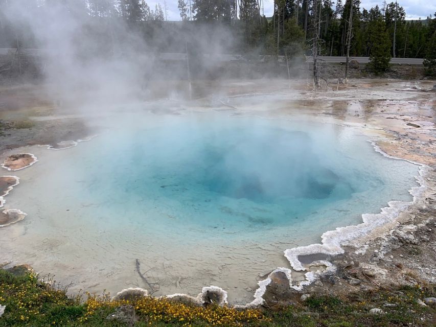 From Jackson: Yellowstone National Park Day Trip with Lunch - Key Points To Know Before You Go
