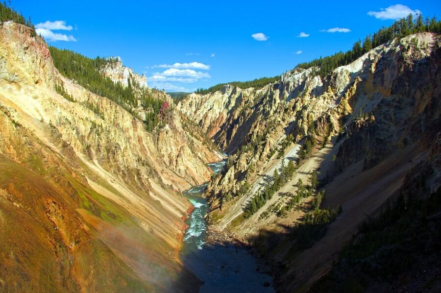 From Jackson: Yellowstone National Park Day Trip with Lunch - The Van, Group Size, and Pace