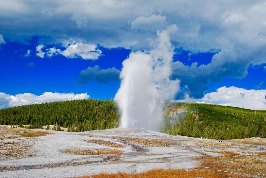 From Jackson: Yellowstone National Park Day Trip with Lunch - Why This Jackson to Yellowstone Day Trip Makes Sense