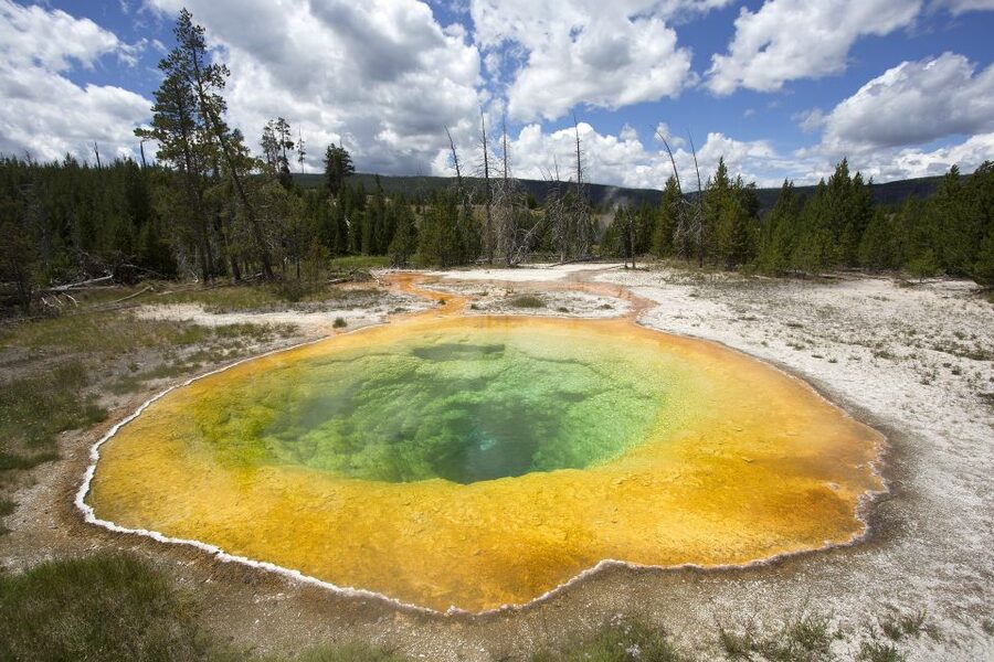 From Jackson: Yellowstone National Park Day Trip with Lunch - Grand Canyon of the Yellowstone and the Upper and Lower Falls