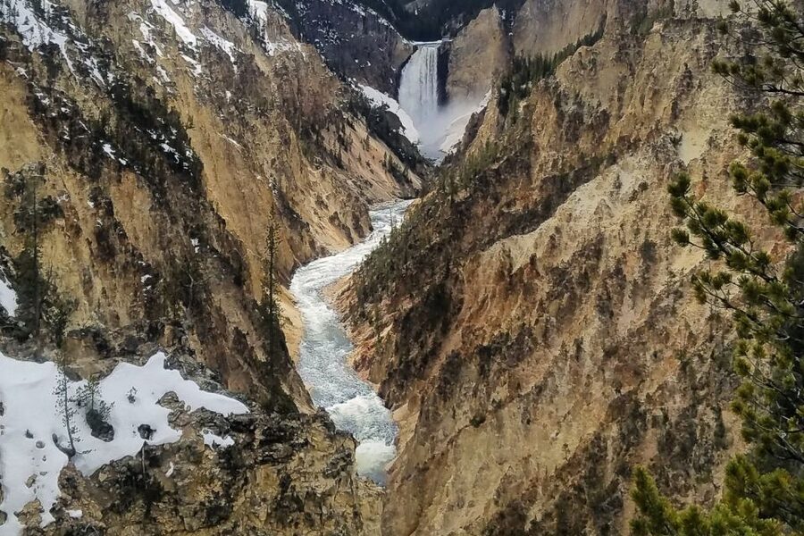 From Jackson: Yellowstone National Park Day Trip with Lunch - Lake Yellowstone and the Picnic Lunch