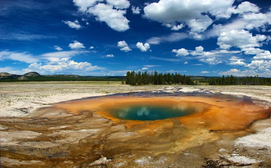 From Jackson: Yellowstone National Park Day Trip with Lunch - The Early Drive Through Grand Teton National Park