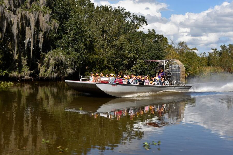 From Lafitte: Swamp Tours South of New Orleans by Airboat - The first rush across the swamp
