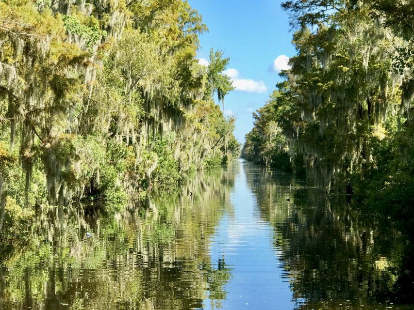 From Lafitte: Swamp Tours South of New Orleans by Airboat - Narrow canals and quiet corners