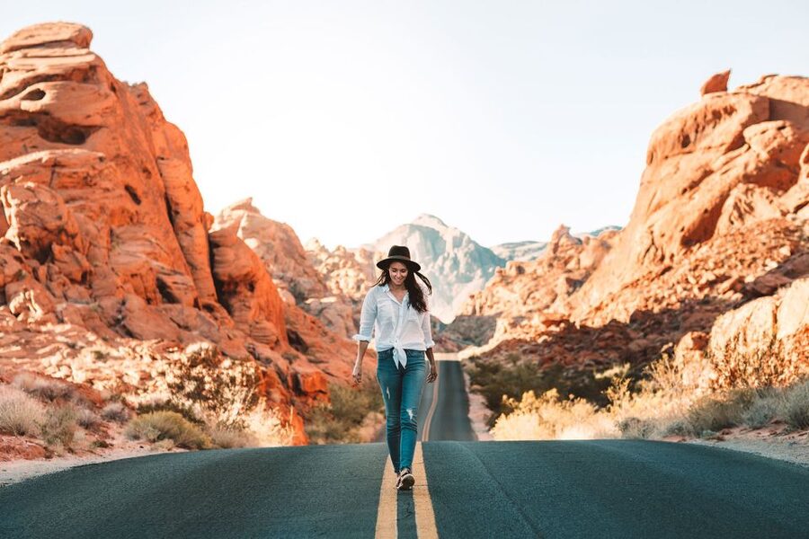 From Las Vegas: Valley of Fire State Park Tour - Petroglyphs, petrified trees, and older stories
