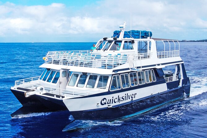 From Maalaea: Whale Watching Tour Aboard the Quicksilver - Quick facts before you book