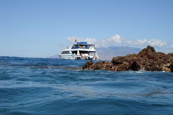 From Maalaea: Whale Watching Tour Aboard the Quicksilver - Comfort on board, including drinks and restrooms
