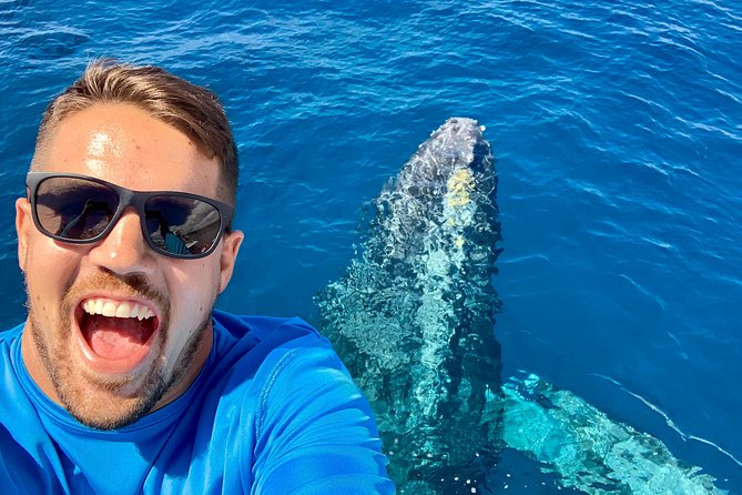 From Maalaea: Whale Watching Tour Aboard the Quicksilver - Humpbacks, songs, and respectful viewing