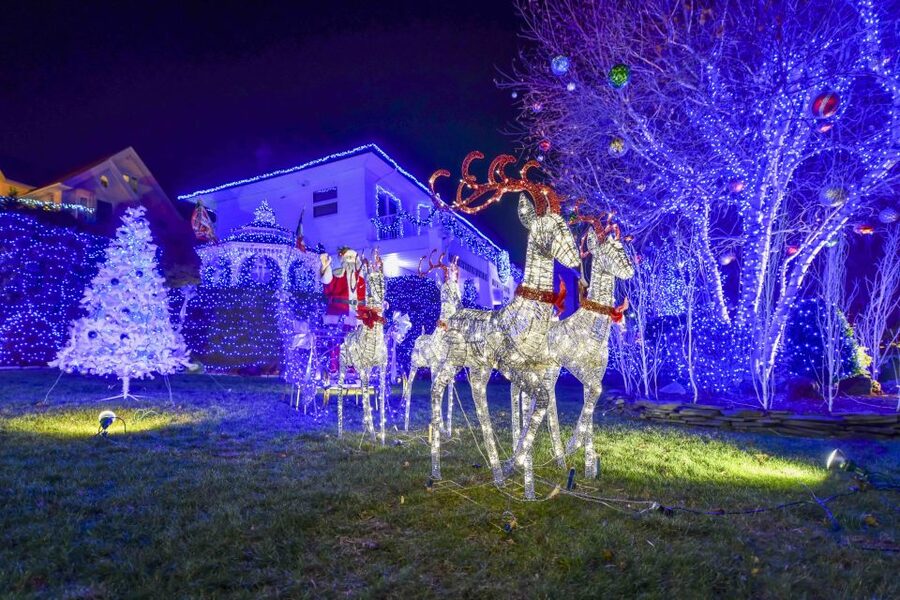 From Manhattan: Dyker Heights Lights & Skyline Tour - What the guides add to the evening