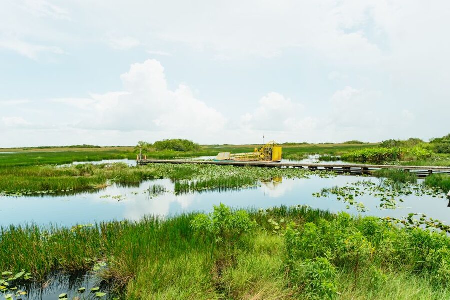 From Miami: Everglades Airboat Ride and Nature Walk - Why this Everglades tour is different from a quick airboat stop