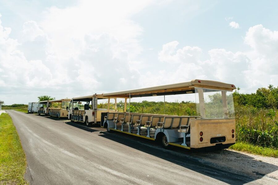 From Miami: Everglades Airboat Ride and Nature Walk - Walking through the hardwood hammock