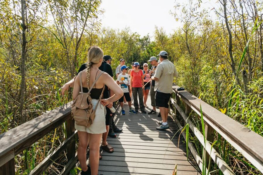 From Miami: Everglades Airboat Ride and Nature Walk - Is $189 a good value?
