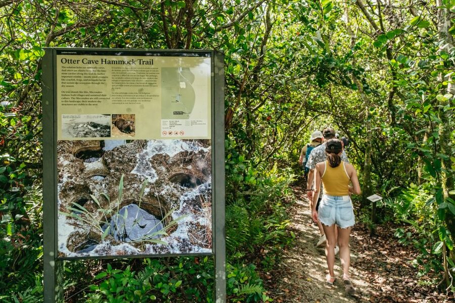 From Miami: Everglades Airboat Ride and Nature Walk - Who should book this experience?