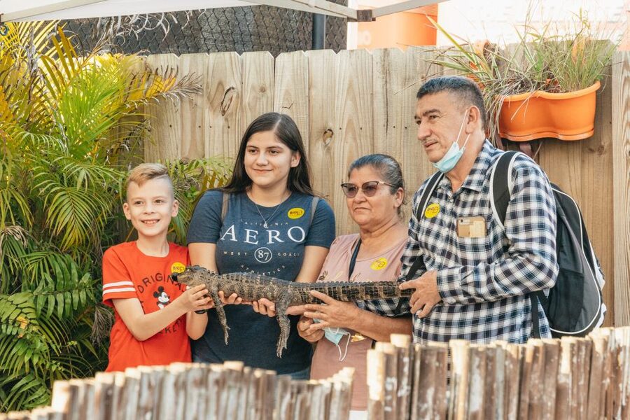 From Miami: Everglades Airboat, Wildlife Show & Bus Transfer - What you might see in the water