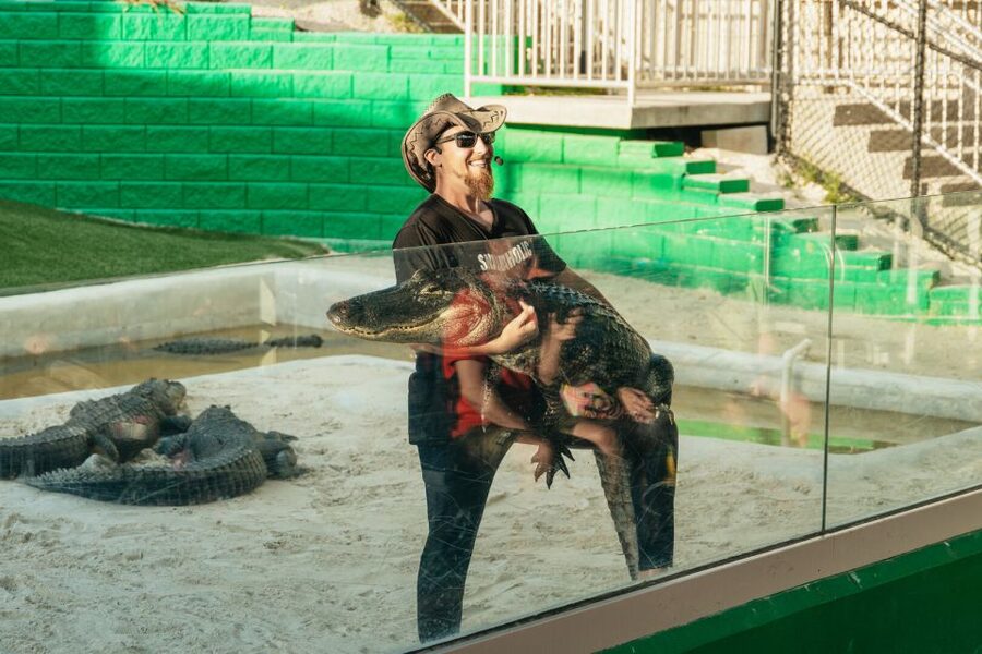 From Miami: Everglades Airboat, Wildlife Show & Bus Transfer - How the five-hour schedule really feels