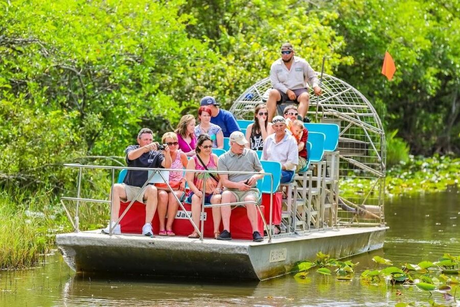 From Miami: Everglades Wildlife Show, Airboat & Bus Transfer - The 40-minute alligator presentation