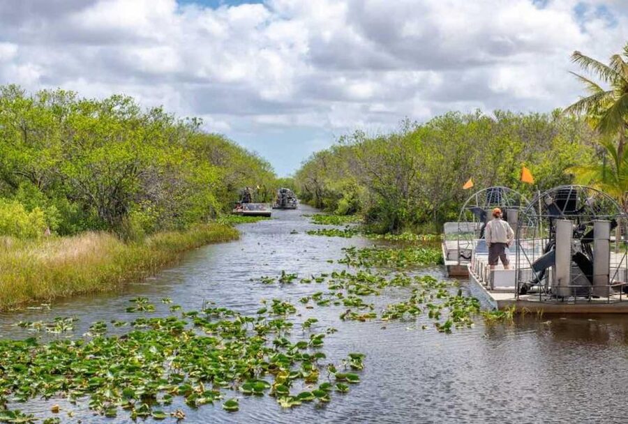 From Miami: Everglades Wildlife Show, Airboat & Bus Transfer - Cruising Biscayne Bay and Millionaire’s Row