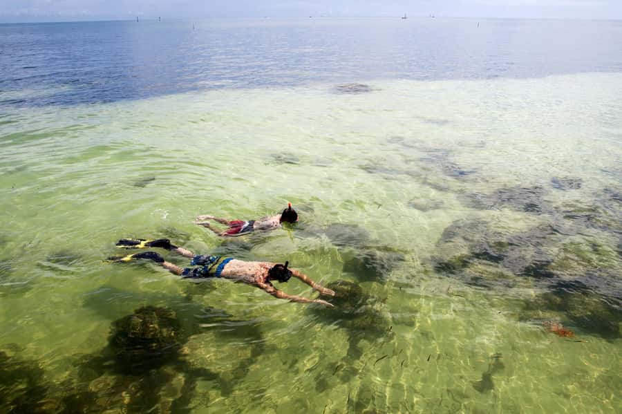 From Miami: Key West Day Tour by Motor Coach Bus - Choosing the trolley, Conch Train, or a boat