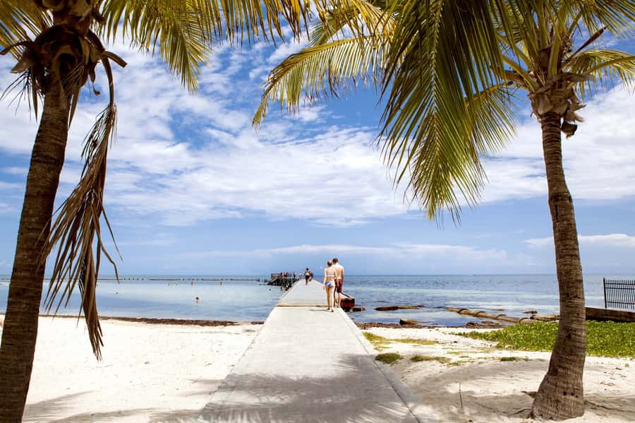 From Miami: Key West Day Tour by Motor Coach Bus - What the bus ride is really like