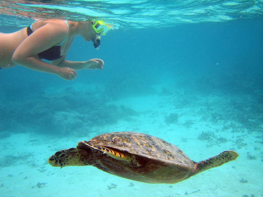 From Miami: Key West Day Trip - Four hours across the Florida Keys