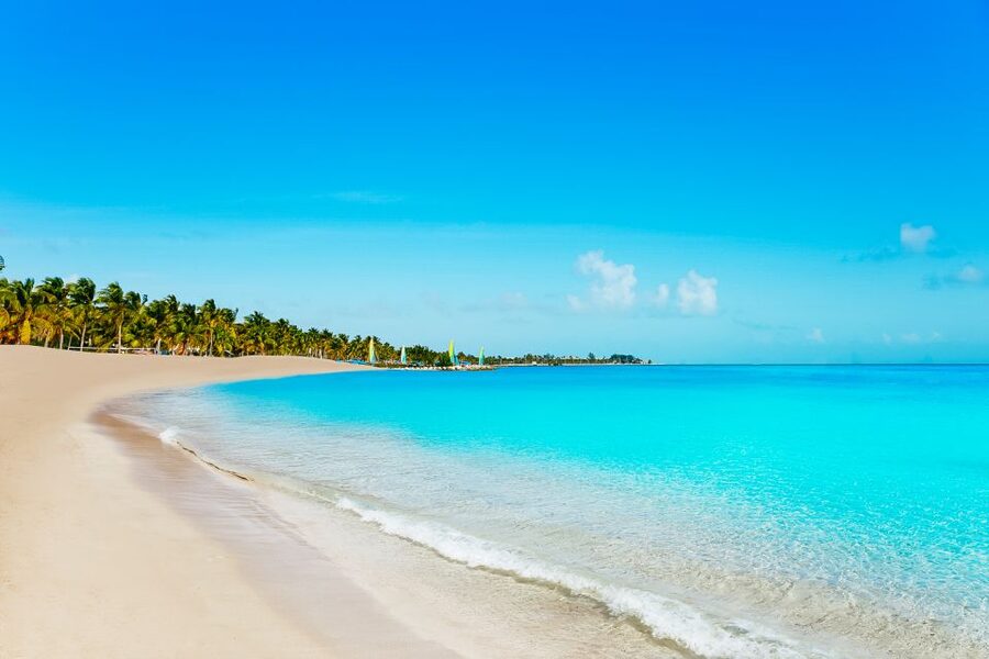 From Miami: Key West Day Trip - Should you book the Miami to Key West day trip?