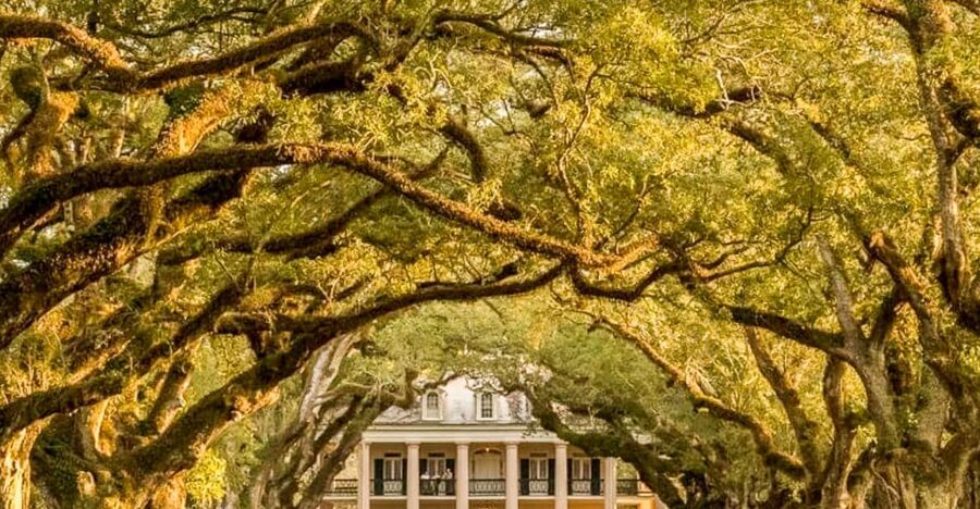 From New Orleans: Oak Alley Plantation Tour - The 70-minute coach ride to Vacherie
