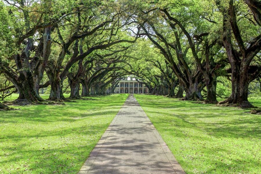 From New Orleans: Oak Alley Plantation Tour - Inside the Greek Revival plantation house