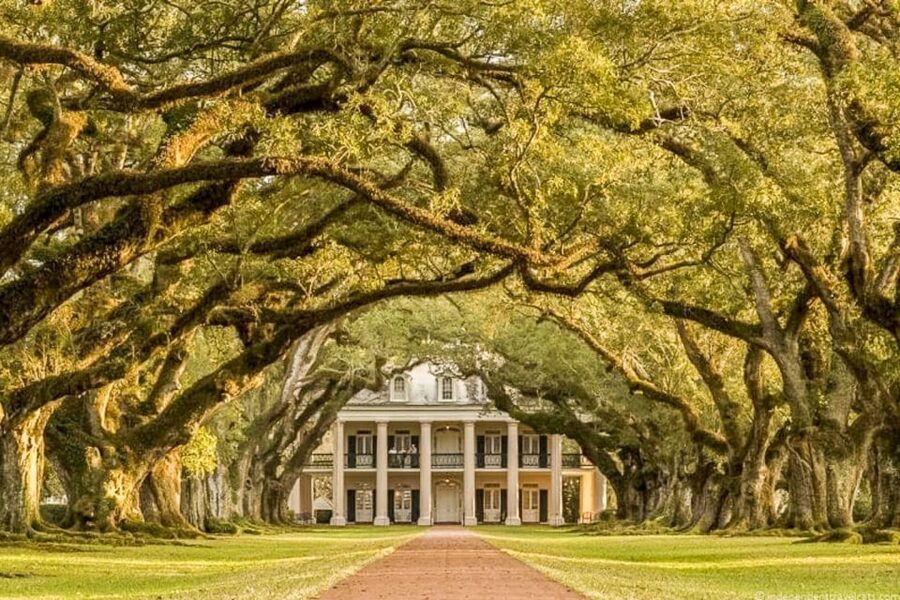 From New Orleans: Oak Alley Plantation Tour - Slavery and the wider plantation story