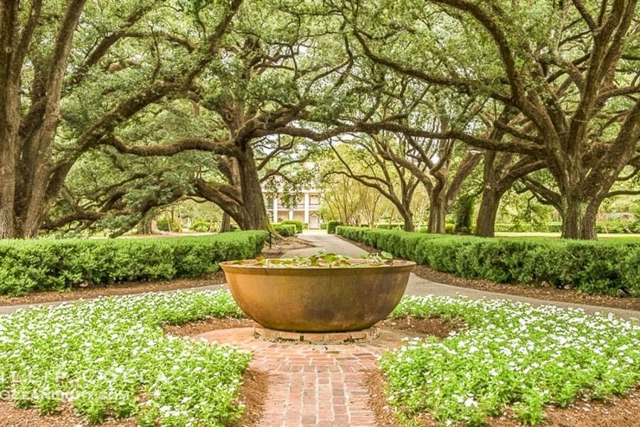 From New Orleans: Oak Alley Plantation Tour - Pickup in New Orleans: convenient, but allow patience