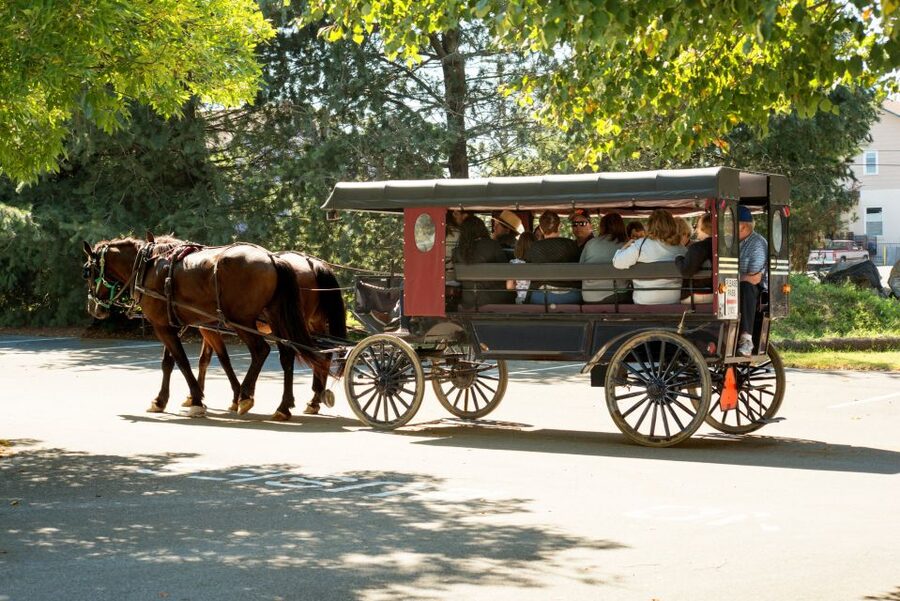 From NYC: Day Trip to Philadelphia and Amish Country - How the day feels in practice