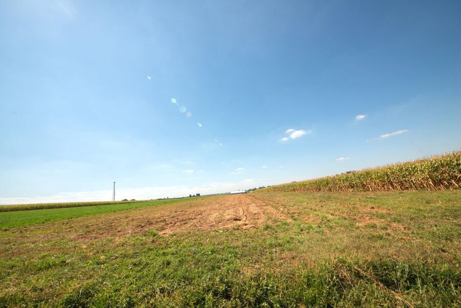 From NYC: Day Trip to Philadelphia and Amish Country - Is $149 good value?