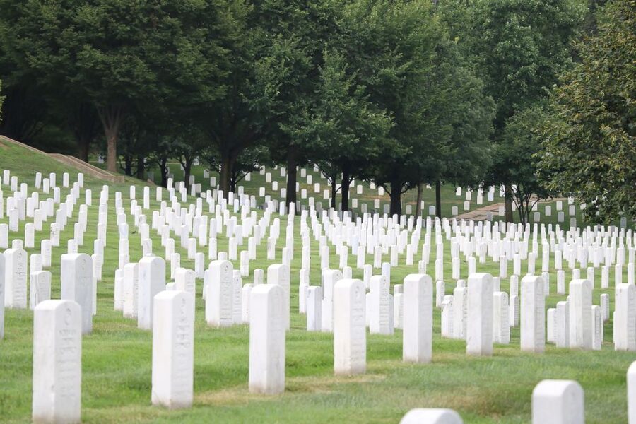 From NYC: Guided Day Trip to Washington DC by Van or Bus - The essential facts at a glance