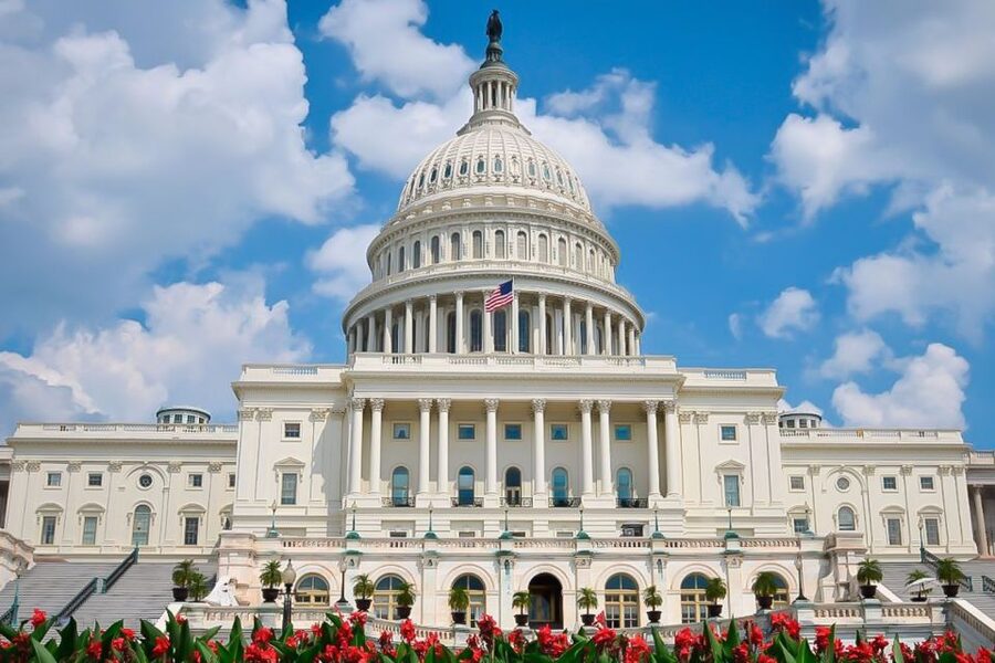 From NYC: Guided Day Trip to Washington DC by Van or Bus - Why this day trip works for a first visit