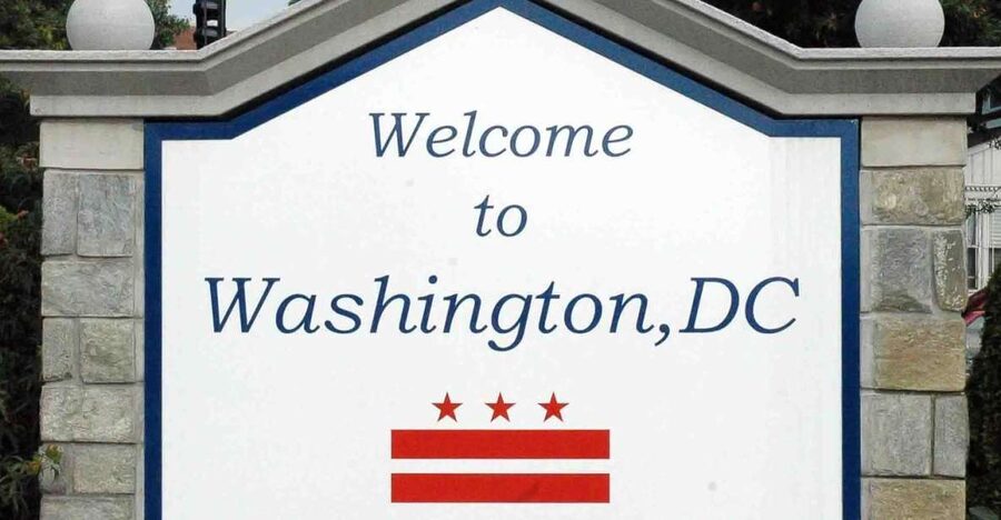 From NYC: Guided Day Trip to Washington DC by Van or Bus - The Capitol and your 90 minutes of free time