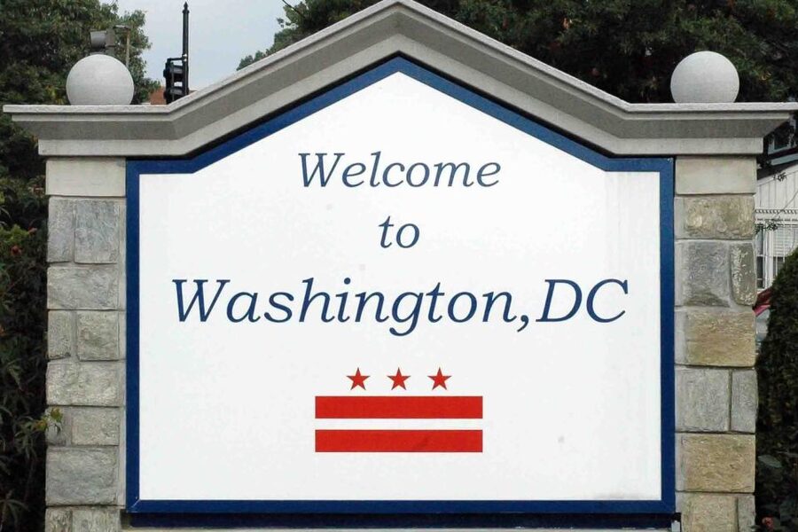 From NYC: Guided Day Trip to Washington DC by Van or Bus - Guides, languages, and group comfort