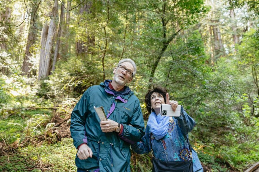 From San Francisco: Guided Muir Woods Tour - Should you book the Muir Woods tour?