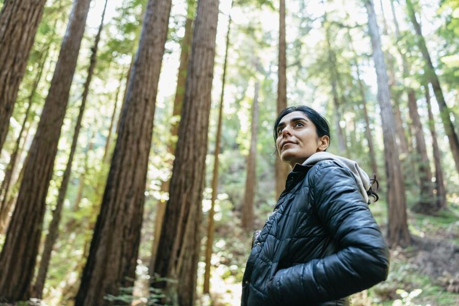 From San Francisco: Guided Muir Woods Tour - Leaving Fisherman’s Wharf with a city tour