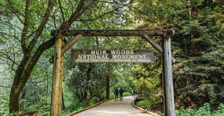 From San Francisco: Guided Muir Woods Tour - Entering Muir Woods for 90 minutes