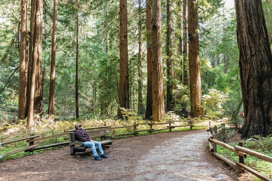From San Francisco: Guided Muir Woods Tour - How much time does the full outing take?