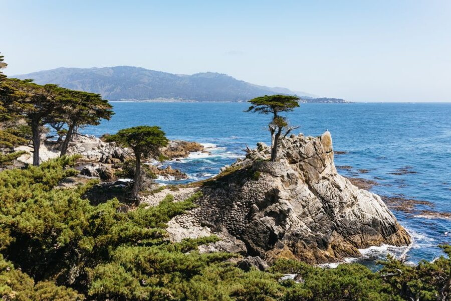From San Francisco: Monterey and Carmel Day Tour - The five things to know before booking
