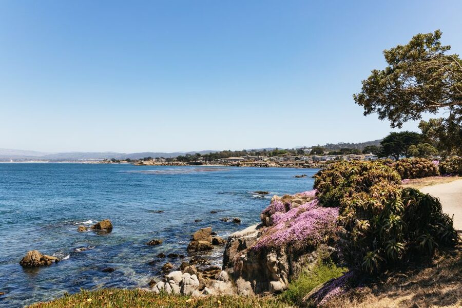 From San Francisco: Monterey and Carmel Day Tour - What the $139 price really buys